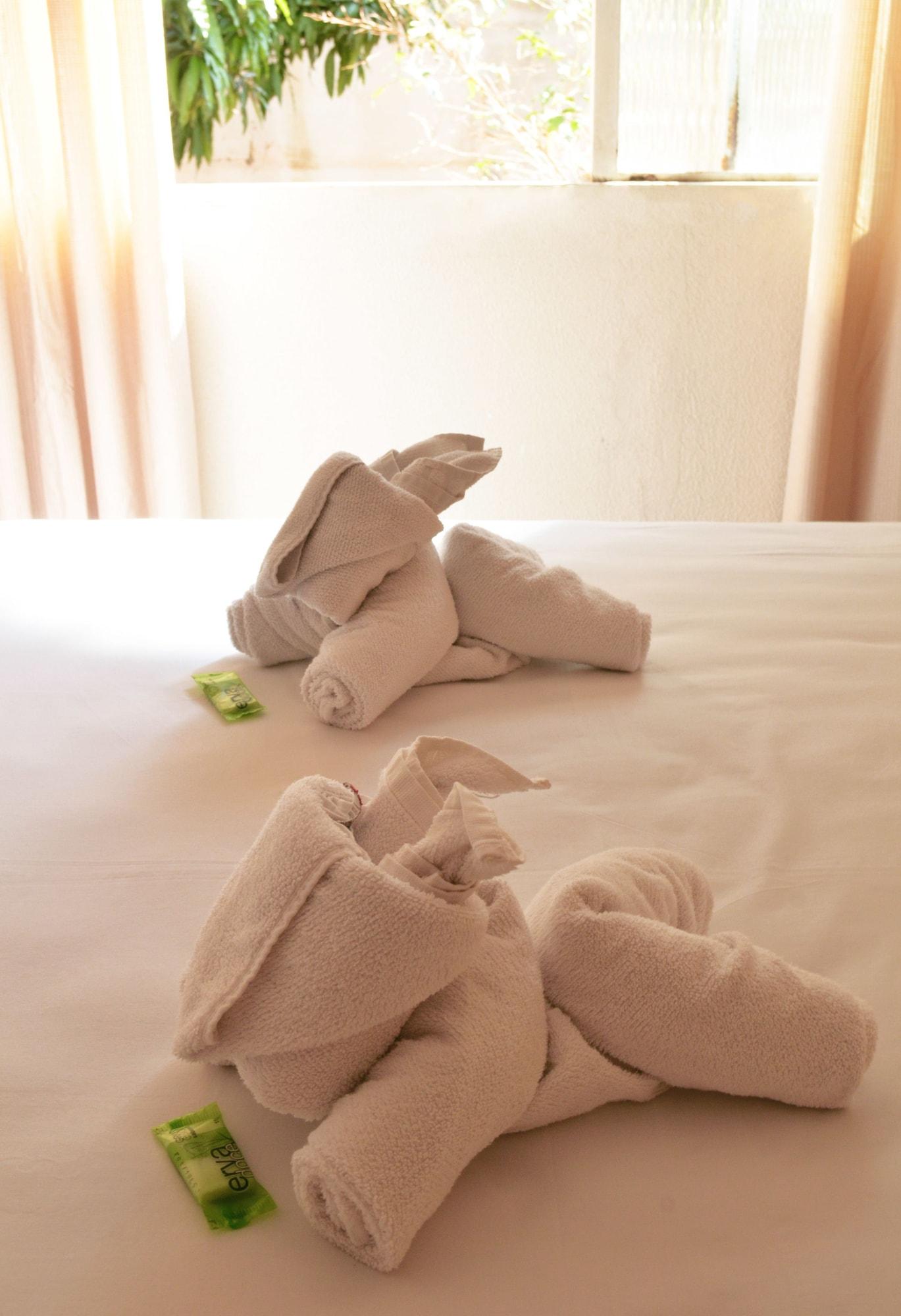 Iguacu Plaza Hotel Φοζ ντο Ιγκουασού Εξωτερικό φωτογραφία